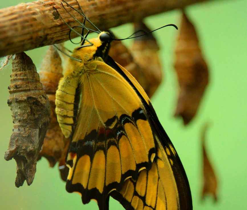 Convenient Technology Tools —&nbsp;ClassroomScreen